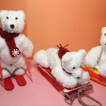 Polar Bears At Play