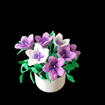 Crochet Petunia flowers