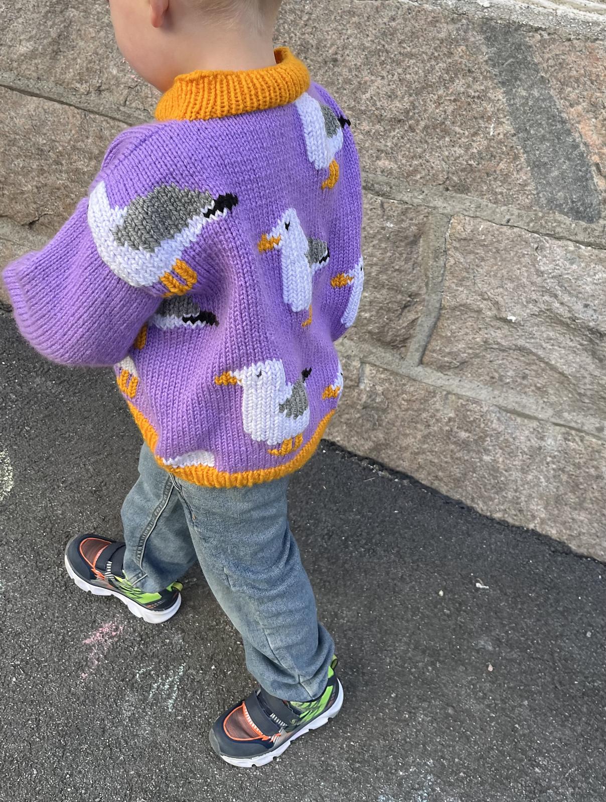 Seagull Sweater