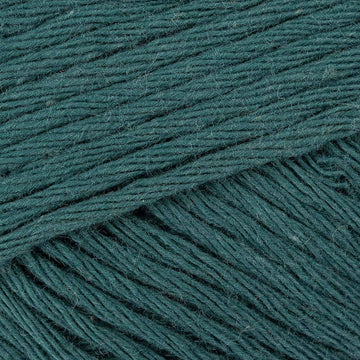Spruce (244)