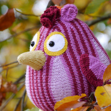 Funny Bird / Komischer Vogel
