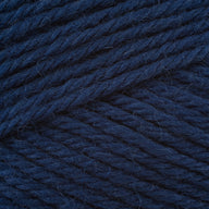 Alpin (21821)