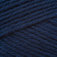 Alpin (21821)