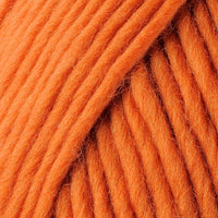 Pumpkin (77605)