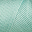 Robins Egg (9780)