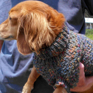 Lena's Cozy Brioche Miniature Dachshund Dog Sweater