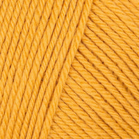 Squash (26)