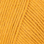 Squash (26)