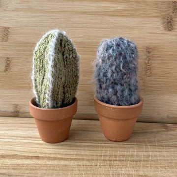 Squishy Succulents