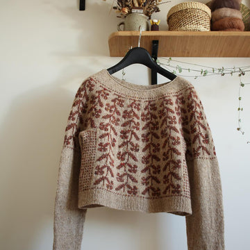 Pictus pullover