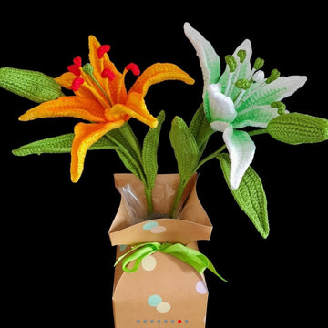 Lily flowers