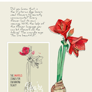 Studio Light Veer & Moon Flower Language A6 Stamps - The Amaryllis Stands For Beauty