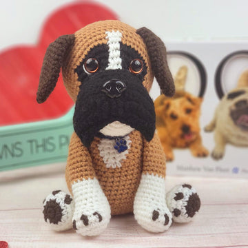Boomer the Boxer