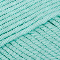 Mint (03385)
