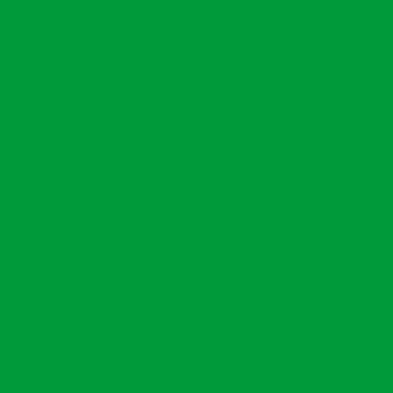 Cricut Joy Infusible Ink Transfer Sheet 4.5"X12" 2/Pkg - Bright Green