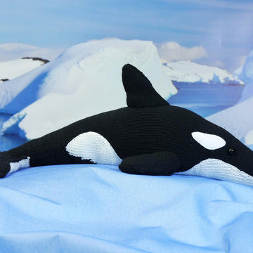Orca Arrluk (Killer Whale)