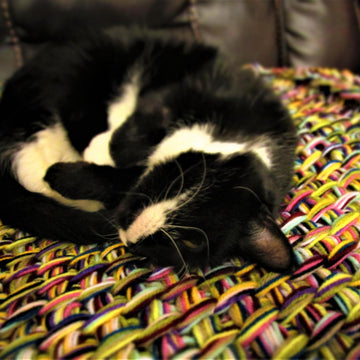 Tilly's New Bed