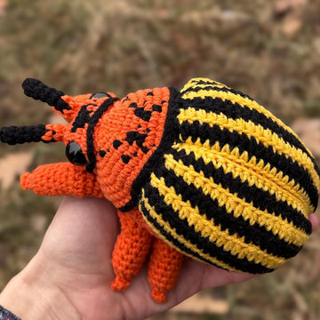 Colorado Beetle
