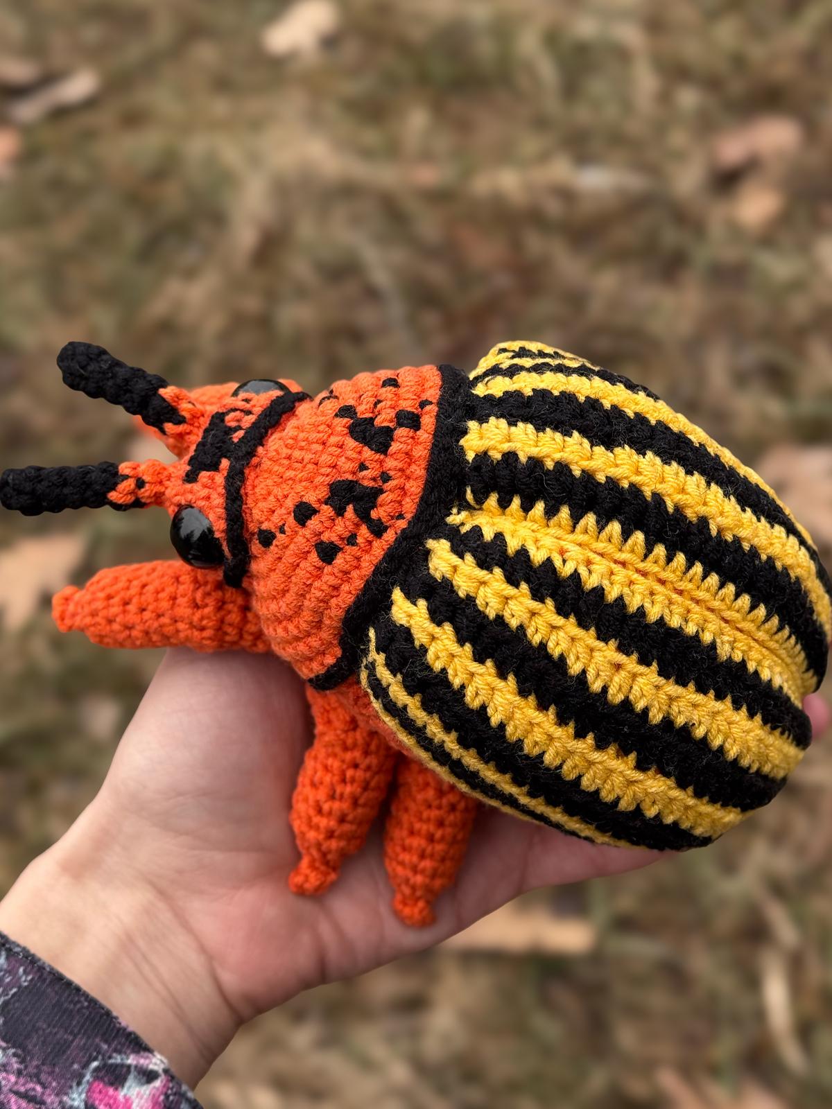 Colorado Beetle