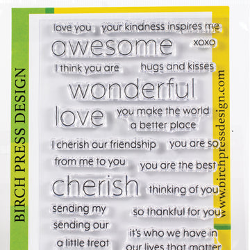 Memory Box Birch Press Designs Clear Stamps - You Are Awesome