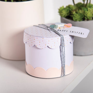 Sizzix Thinlits Plus Dies By Georgie Evans 11/Pkg - Cake Box