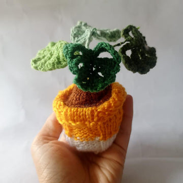 Monstera Basket