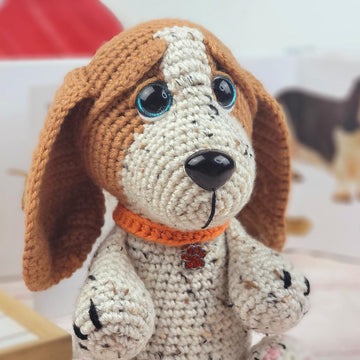 Missy the Basset hound