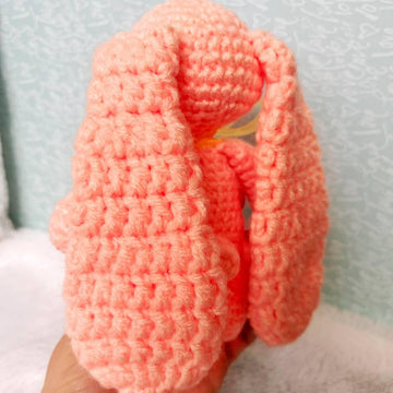 Crocheted Bunny.
