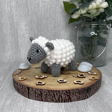Minty the Sheep