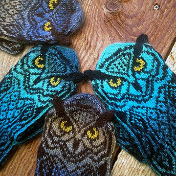 Owl Around