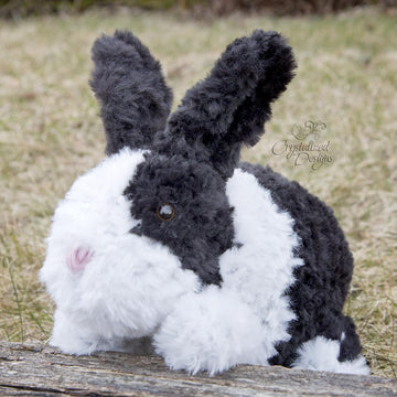 Odie the Bunny