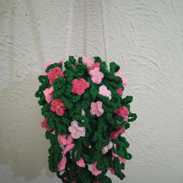 Snowtopia hanging plant