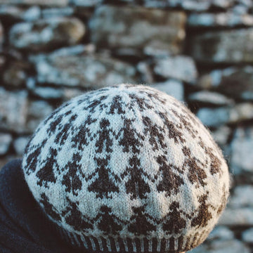 Erne Beret