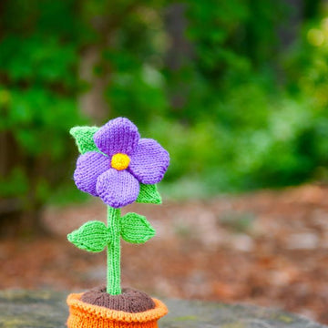 Forever Flower