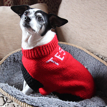 Designer Dog Coat and Cat Coat