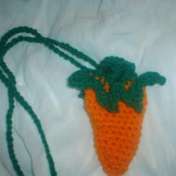 Carrot Necklace Purse