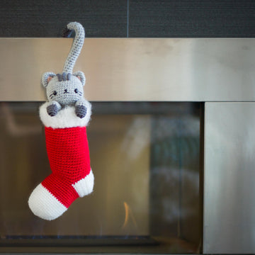 Chester the Christmas Cat