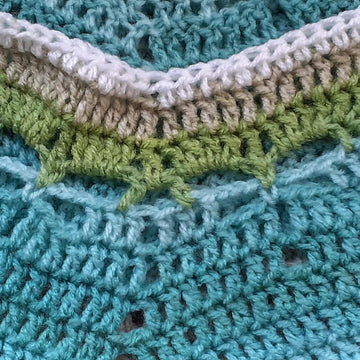 Land Sea Sky Dragonfly 12 Point Star Baby Blanket