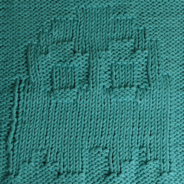 Pacman Ghost Washcloth/DIshcloth
