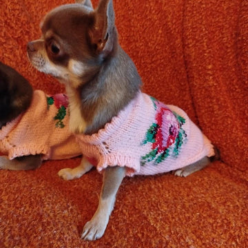 Pull Rosemary pour petit chien