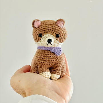 Mini Pomeranian