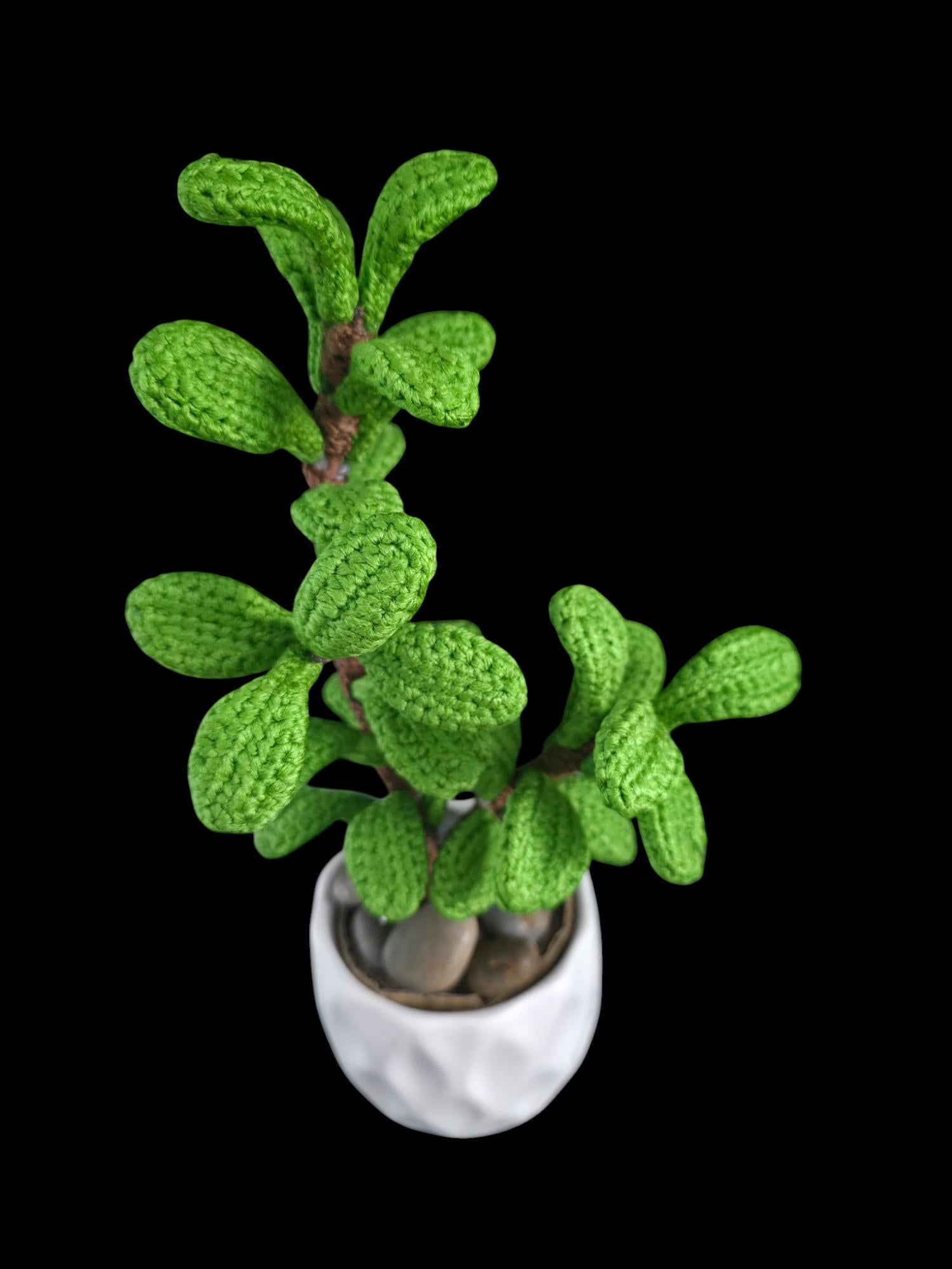 Crochet Jade plant pattern
