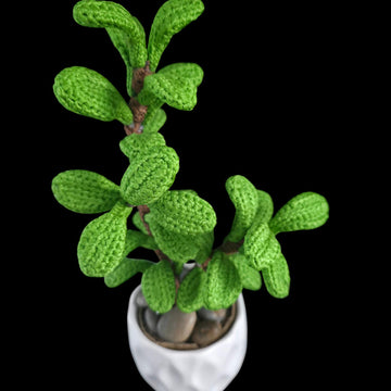 Crochet Jade plant pattern