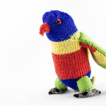 Rainbow Lorikeet