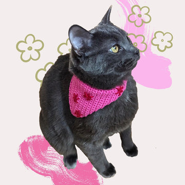 Cat Kerchief