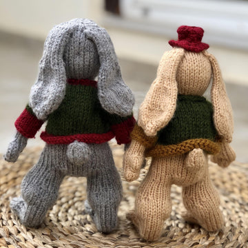 Bunny with Jacket
