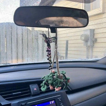 Hanging Teenie Tiny Plant