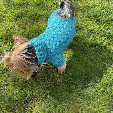 Aqua Dog or Cat Sweater