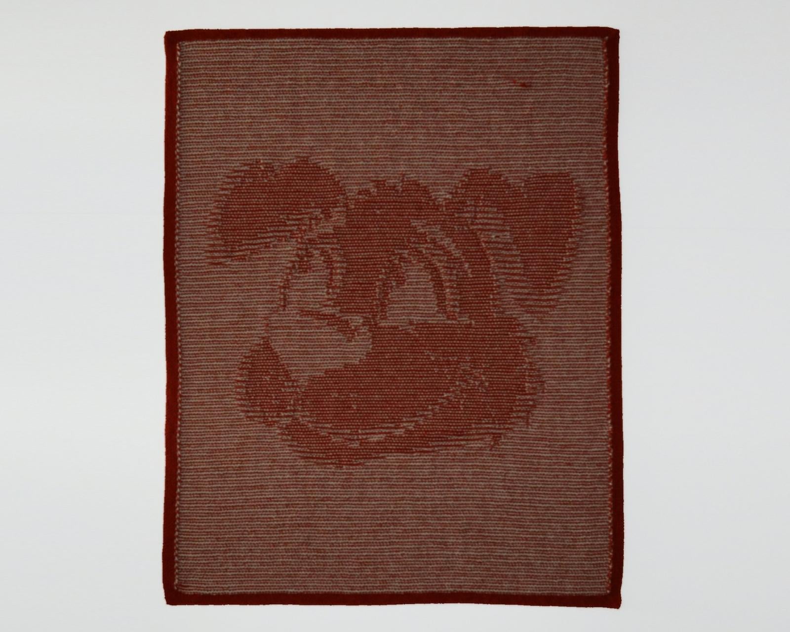 Canis Minor Illusion Baby Blanket