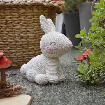 Carlota the Bunny